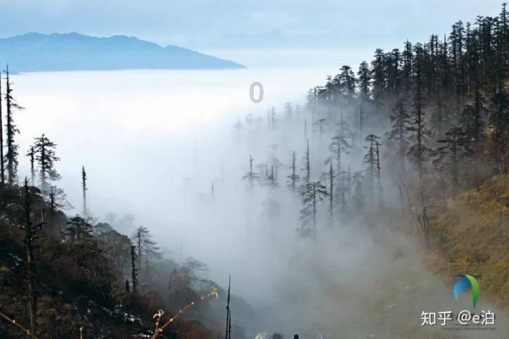 情商低的人会常把哪些话挂在嘴边，很难受欢迎？