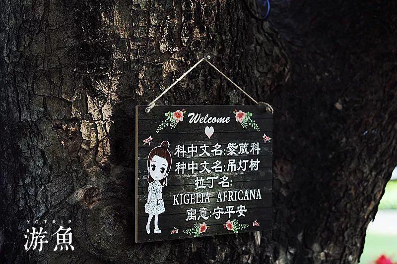 羊肉焖饭应该怎么做？游戏画面
