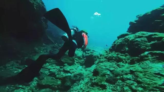黑龙江：将出台旅游包车客运服务规范，杜绝与导游串通一气，甩客、强制消费等行为