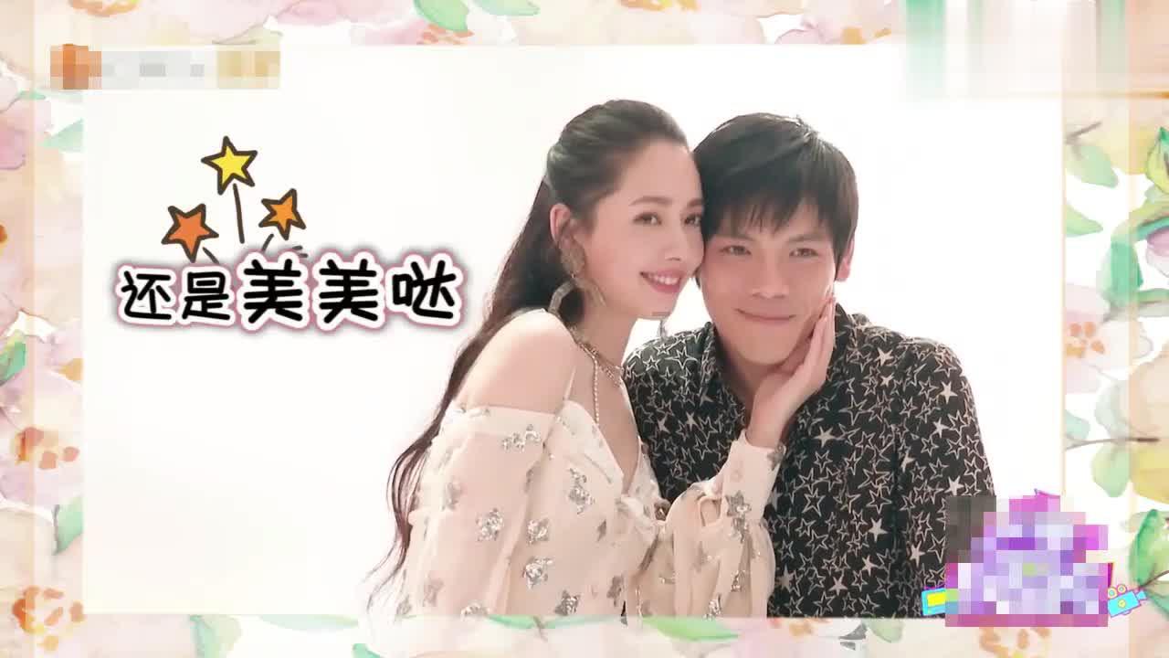 小狗被车撞了怎么办游戏画面