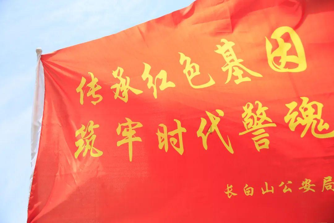 拯救蓝色小鸟