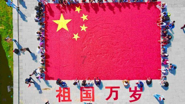 银河中动物逃生