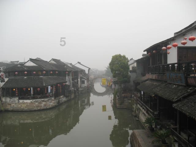 让动物飞一会
